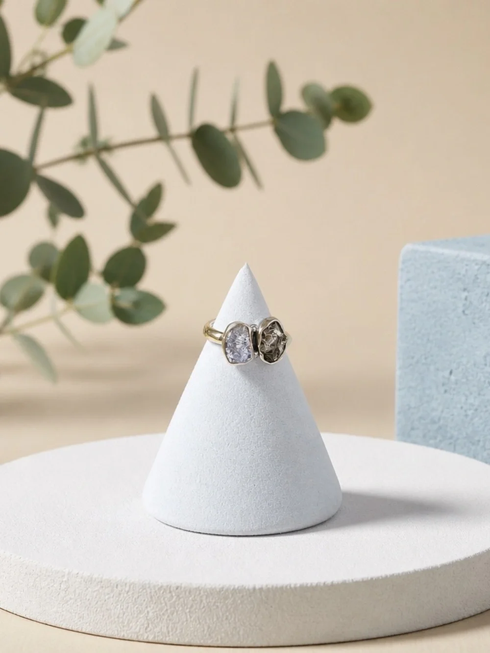 NEW! Tanzanite & Meteorite Ring